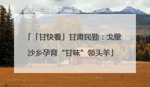 「甘快看」甘肃民勤：戈壁沙乡孕育“甘味”领头羊