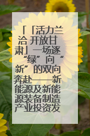 「活力兰洽 开放甘肃」一场逐“绿”向“新”的双向奔赴——新能源及新能源装备制造产业投资发展对接活动扫描