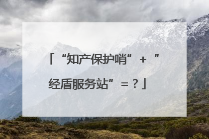 “知产保护哨”+“经盾服务站”=？