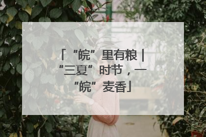 “皖”里有粮｜“三夏”时节，一“皖”麦香