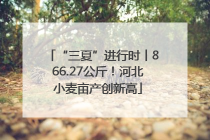 “三夏”进行时丨866.27公斤！河北小麦亩产创新高