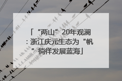 “两山”20年观澜：浙江庆元生态为“帆”徜徉发展蓝海