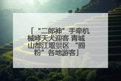 “二郎神”手牵机械哮天犬迎客 青城山都江堰景区 “圈粉”各地游客