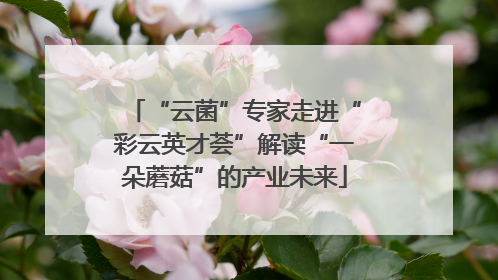 “云菌”专家走进“彩云英才荟”解读“一朵蘑菇”的产业未来