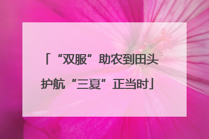 “双服”助农到田头 护航“三夏”正当时