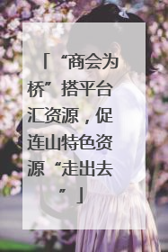 “商会为桥”搭平台汇资源，促连山特色资源“走出去”