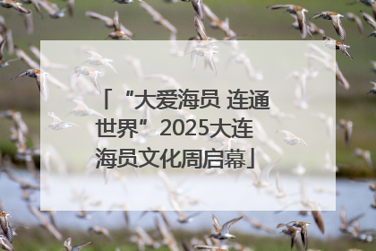 “大爱海员 连通世界”2025大连海员文化周启幕