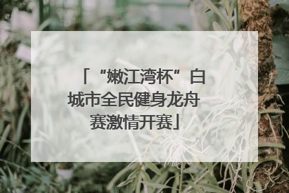 “嫩江湾杯”白城市全民健身龙舟赛激情开赛