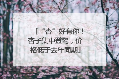 “杏”好有你！杏子集中登鹭，价格低于去年同期