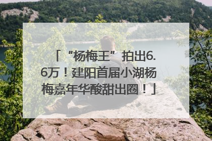 “杨梅王”拍出6.6万！建阳首届小湖杨梅嘉年华酸甜出圈！