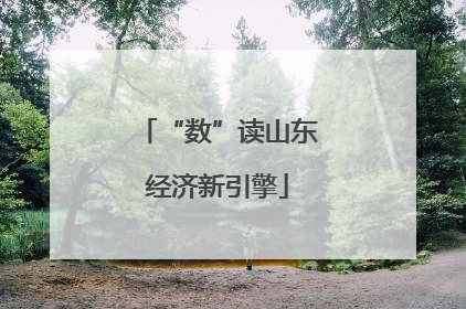 “数”读山东经济新引擎
