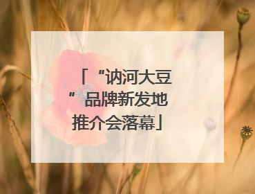 “讷河大豆”品牌新发地推介会落幕