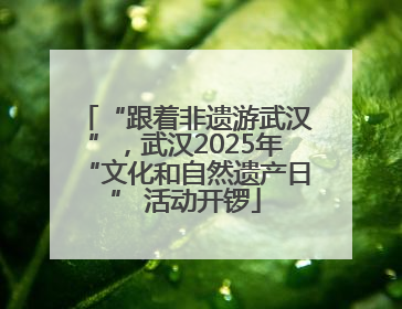 “跟着非遗游武汉”，武汉2025年“文化和自然遗产日” 活动开锣