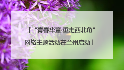 “青春华章·重走西北角”网络主题活动在兰州启动
