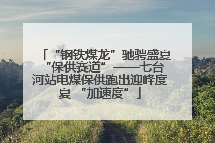 “钢铁煤龙”驰骋盛夏 “保供赛道”——七台河站电煤保供跑出迎峰度夏 “加速度”