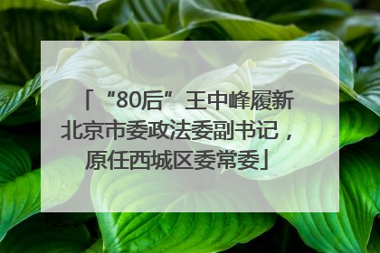 “80后”王中峰履新北京市委政法委副书记，原任西城区委常委