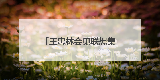 王忠林会见联想集团董事长兼首席执行官杨元庆 深化战略合作 打造世界级光电子信息产业集群