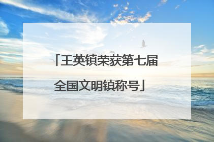 王英镇荣获第七届全国文明镇称号