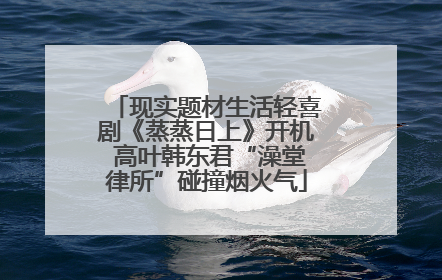 现实题材生活轻喜剧《蒸蒸日上》开机 高叶韩东君“澡堂律所”碰撞烟火气