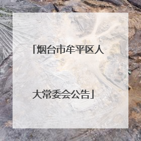 烟台市牟平区人大常委会公告