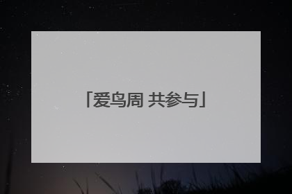 爱鸟周 共参与