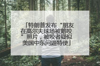特朗普发布“朋友在高尔夫球场被鹅咬”照片，被咬者疑似美国中东问题特使