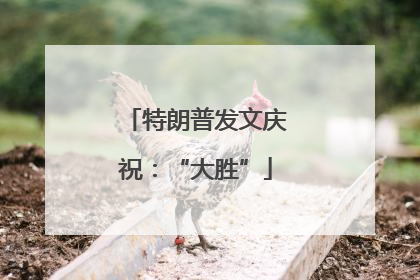 特朗普发文庆祝：“大胜”