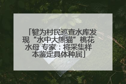 犍为村民巡查水库发现“水中大熊猫”桃花水母 专家：将采集样本鉴定具体种属
