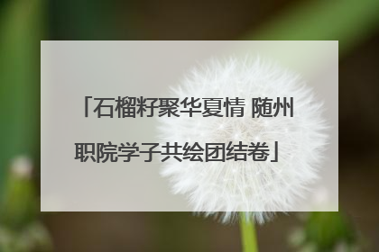 石榴籽聚华夏情 随州职院学子共绘团结卷