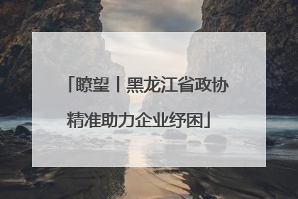 瞭望丨黑龙江省政协精准助力企业纾困
