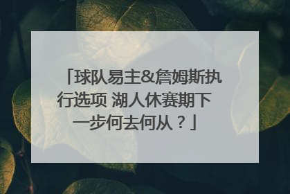 球队易主&詹姆斯执行选项 湖人休赛期下一步何去何从？