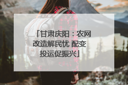 甘肃庆阳：农网改造解民忧 配变投运促振兴