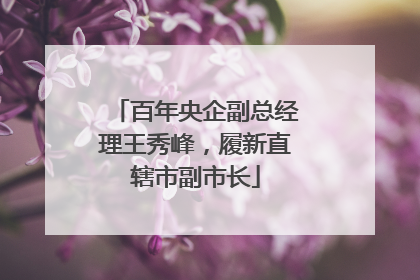 百年央企副总经理王秀峰，履新直辖市副市长