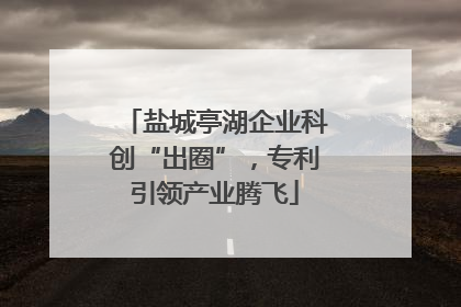 盐城亭湖企业科创“出圈”，专利引领产业腾飞