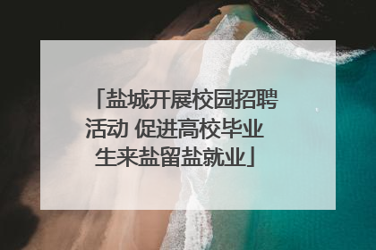 盐城开展校园招聘活动 促进高校毕业生来盐留盐就业