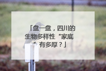 盘一盘，四川的生物多样性“家底”有多厚？