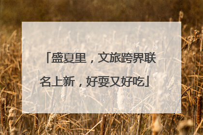 盛夏里，文旅跨界联名上新，好耍又好吃