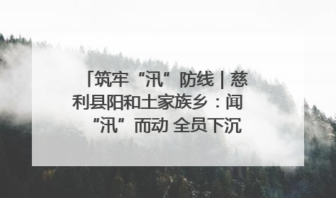 筑牢“汛”防线｜慈利县阳和土家族乡：闻“汛”而动 全员下沉筑牢防汛“安全堤”