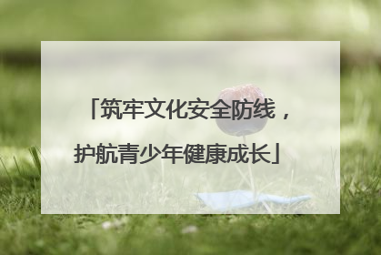 筑牢文化安全防线，护航青少年健康成长