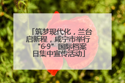 筑梦现代化，兰台启新程，咸宁市举行“6·9”国际档案日集中宣传活动