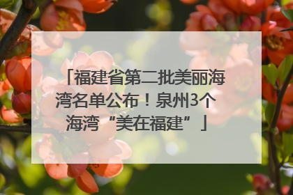 福建省第二批美丽海湾名单公布！泉州3个海湾“美在福建”
