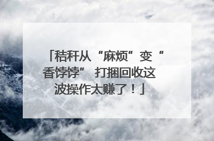 秸秆从“麻烦”变“香饽饽” 打捆回收这波操作太赚了！