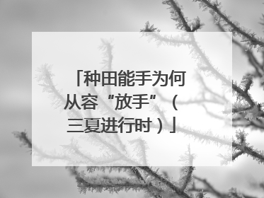 种田能手为何从容“放手”（三夏进行时）