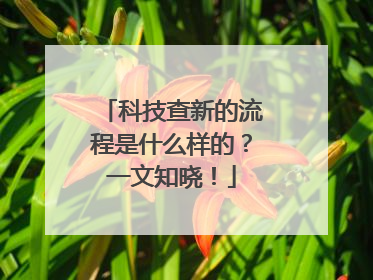 科技查新的流程是什么样的？一文知晓！