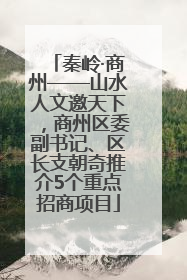 秦岭·商州——山水人文邀天下，商州区委副书记、区长支朝奇推介5个重点招商项目