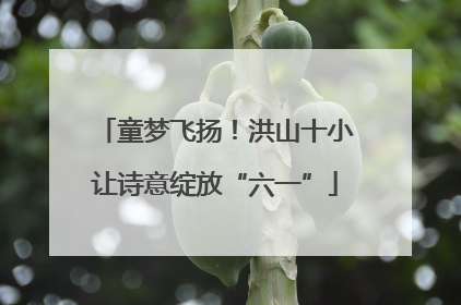 童梦飞扬！洪山十小让诗意绽放“六一”