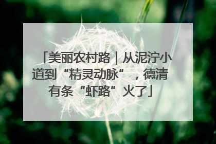 美丽农村路｜从泥泞小道到“精灵动脉”，德清有条“虾路”火了