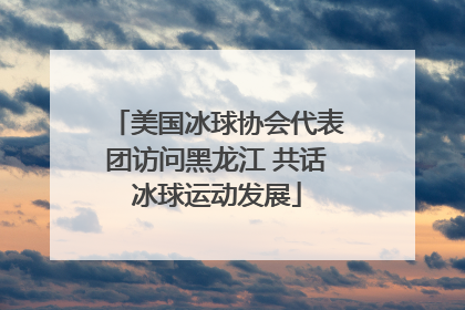 美国冰球协会代表团访问黑龙江 共话冰球运动发展