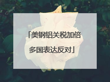 美钢铝关税加倍 多国表达反对