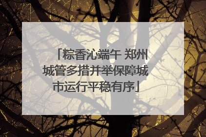 粽香沁端午 郑州城管多措并举保障城市运行平稳有序
